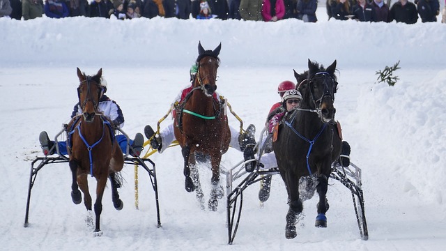 梅西宣布参加2026年世界杯，继续挑战贝利的地位.